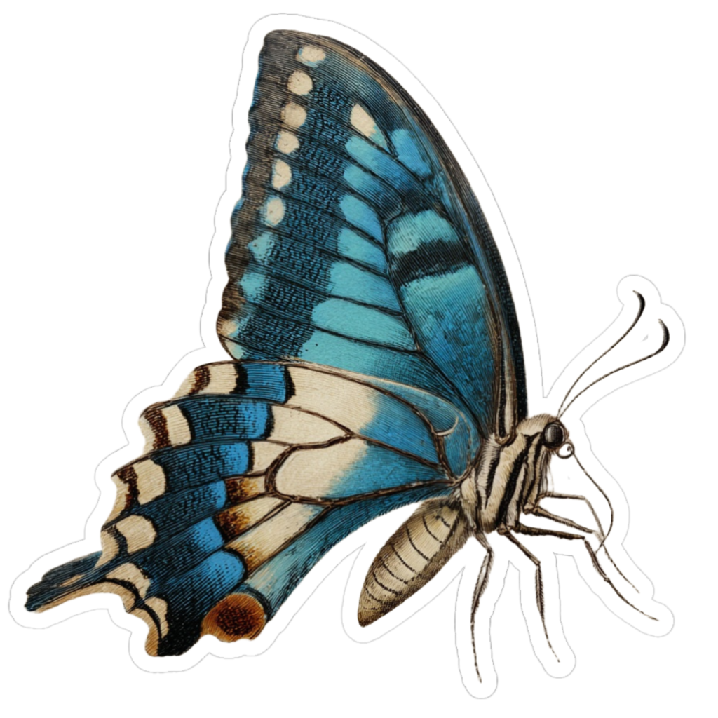 Blue vintage swallowtail butterfly, right side view with bright azure wings, cream highlights, and brown edging along the wing tips.